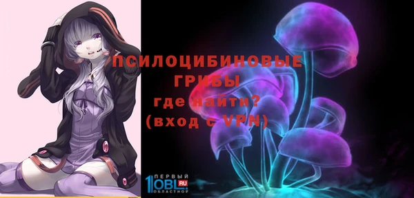 гашик Бронницы