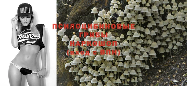 марки nbome Бугульма